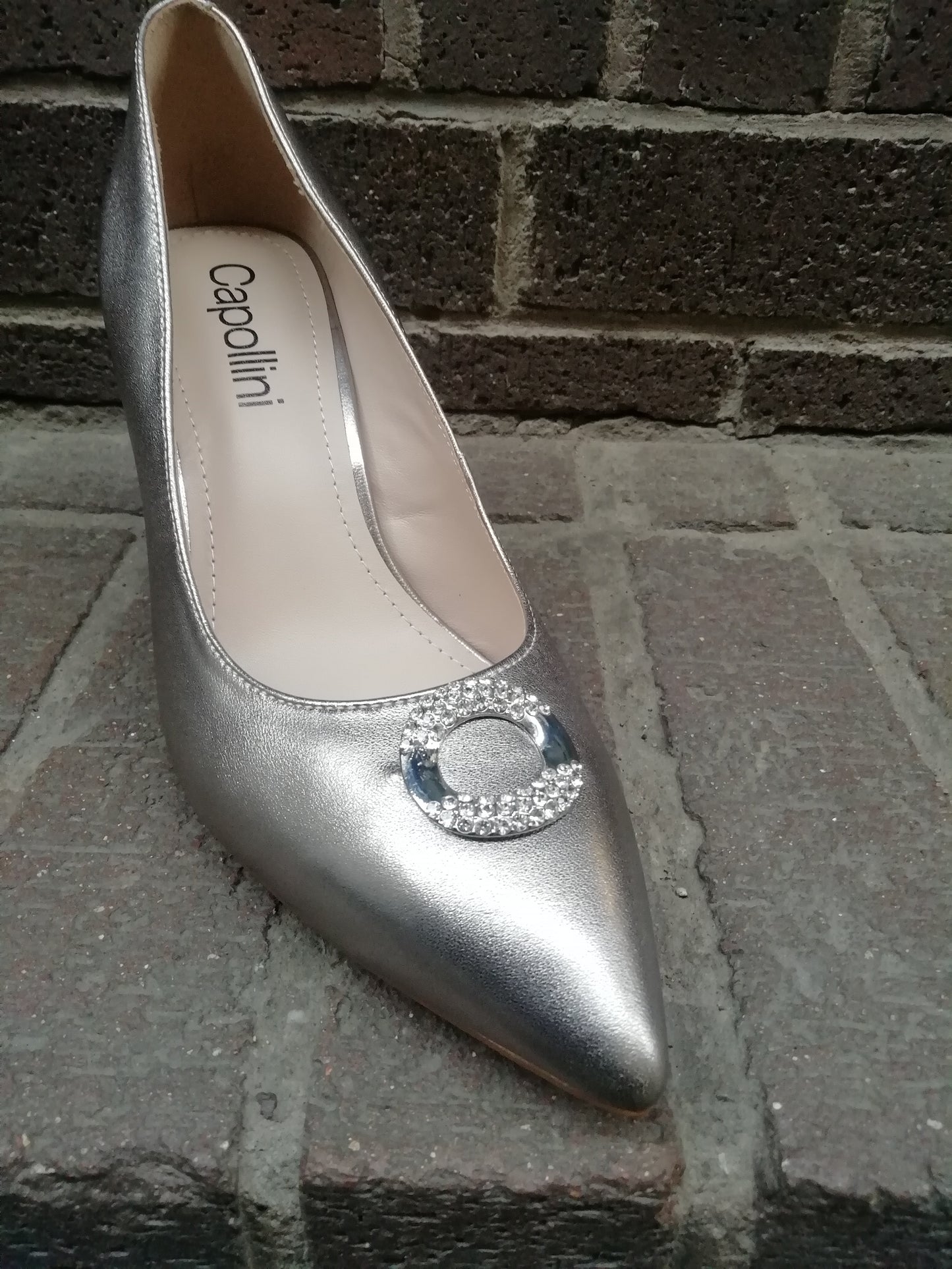 Capollini Judi Platinum court shoe.