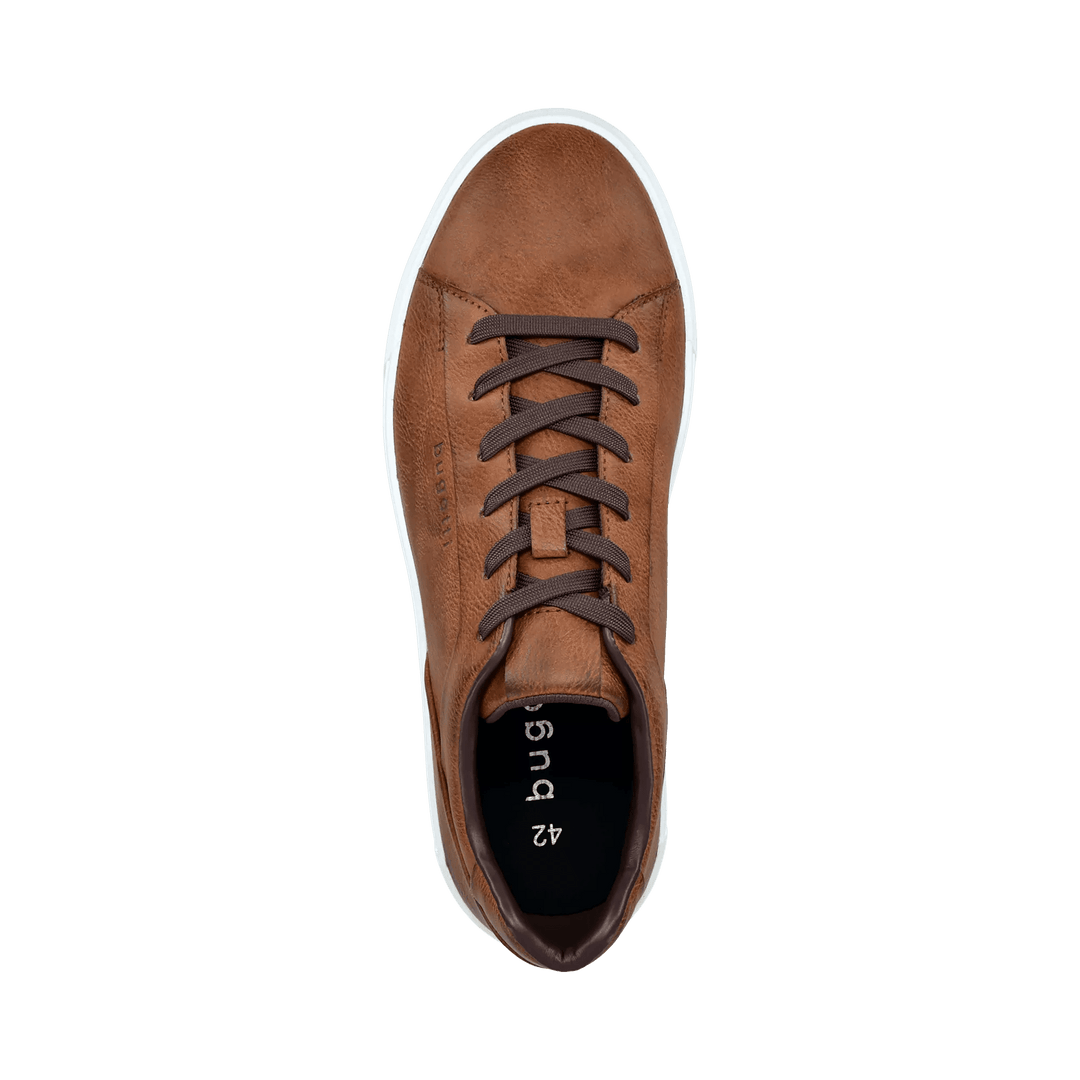 Gunter Lace Up Leather Sneaker Cognac