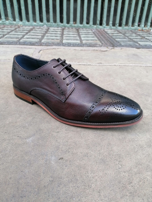 Paolo Vandini Templeton Toe Cap Coffee Brogue.